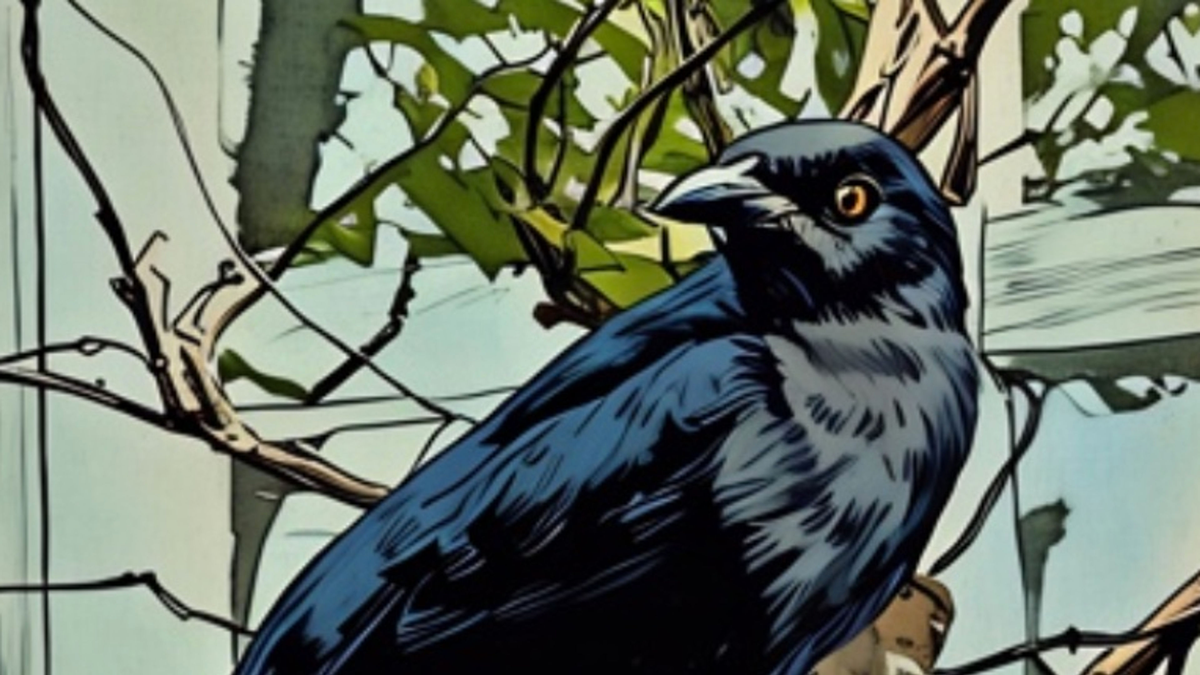 GRACKLE